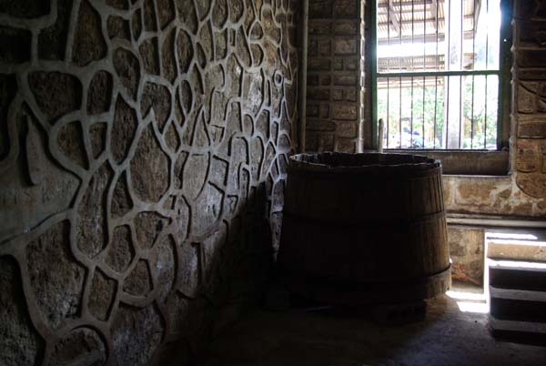 alua-290.jpg